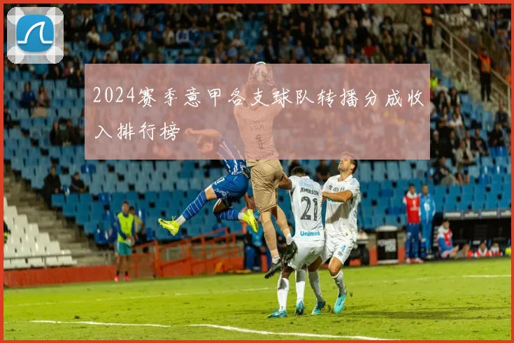 2024赛季意甲各支球队转播分成收入排行榜