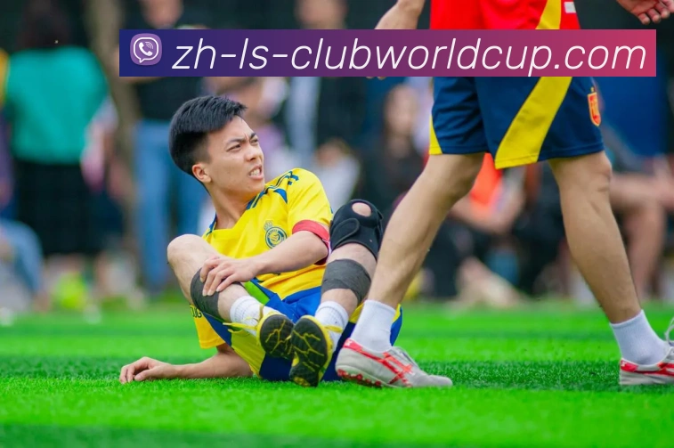 世界杯官网发展历程